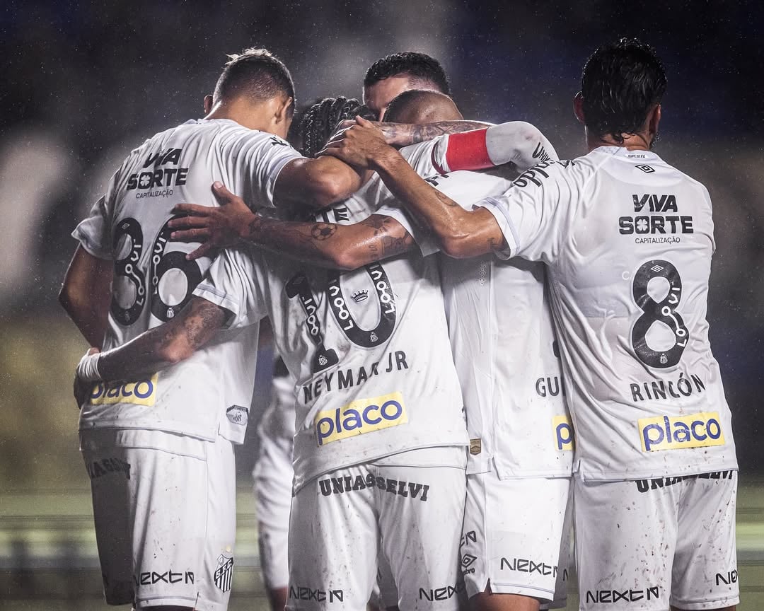 Peixe luta na parte de baixo da tabela do Brasileirão -