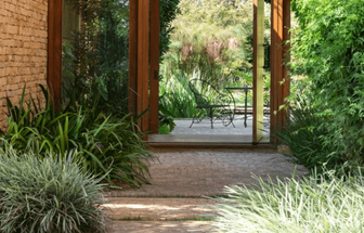 5 cuidados essenciais com as plantas no inverno