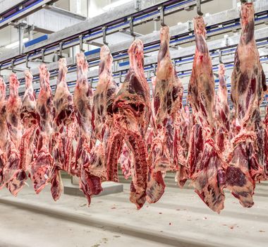 Imagem - Frigoríficos brasileiros suspendem produção de carnes destinadas aos EUA