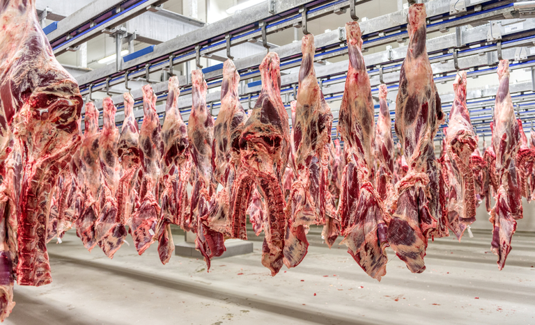 Imagem - Frigoríficos brasileiros suspendem produção de carnes destinadas aos EUA