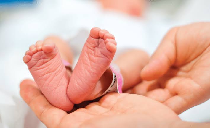 O método utiliza o óvulo da mãe, o espermatozoide do pai e um segundo óvulo, proveniente de uma doadora com mitocôndrias saudáveis.

