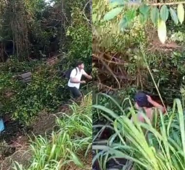 Imagem - Ônibus cai em ribanceira em Aurora do Pará e deixa ao menos 20 feridos