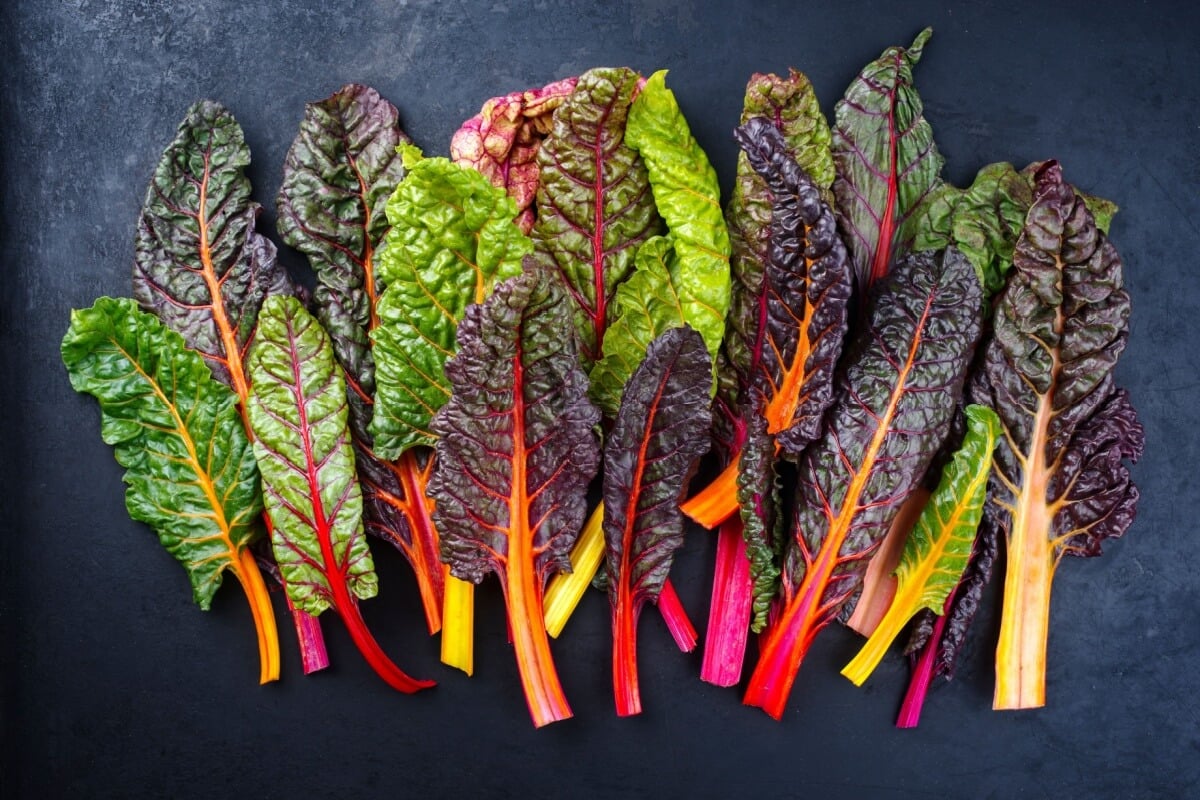 A acelga se destaca na alimentação e na saúde por sua variedade de texturas e nutrientes (Imagem: hlphoto | Shutterstock)