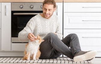 7 maneiras eficientes de chamar o gato 