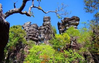 Nova trilha na Serra das Andorinhas valoriza biodiversidade e saberes tradicionais, no Pará
