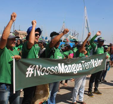 Imagem - Comunidades costeiras celebram Dia Mundial de Proteção dos Manguezais neste sábado (26)