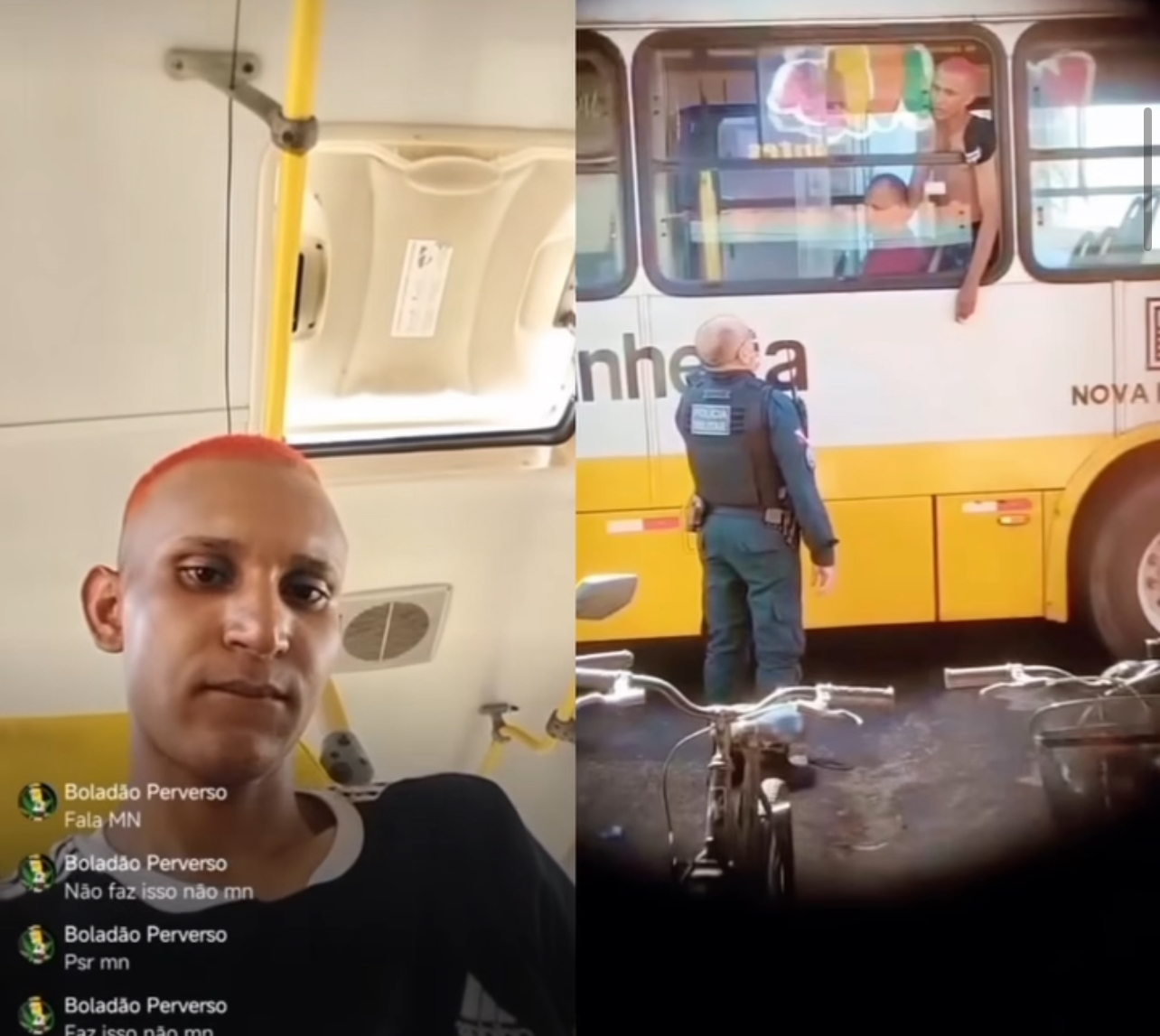 Reprodução 