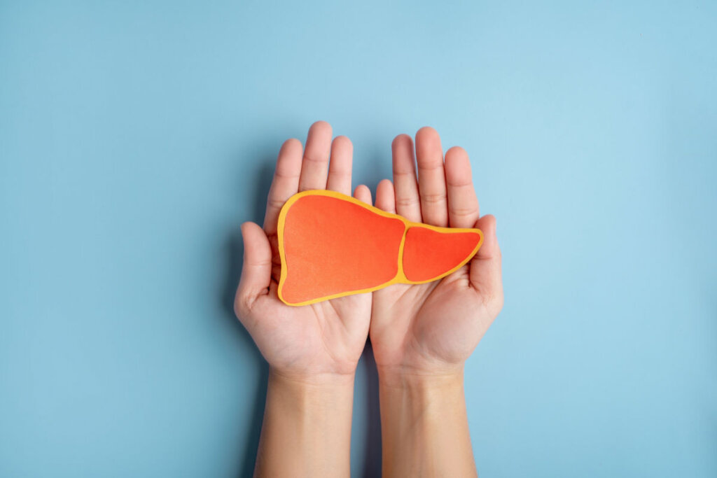 Na maioria das vezes, as hepatites virais não apresentam sintomas no início (Imagem: PBXStudio | Shutterstock)