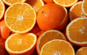 Suco de laranja: tarifa dos EUA pode causar perdas de até R$ 4,3 bilhões, afirma CitrusBR