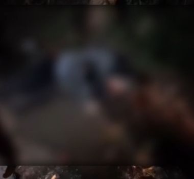 Imagem - Árvore de grande porte cai e atinge duas pessoas na estrada da Ceasa, em Belém