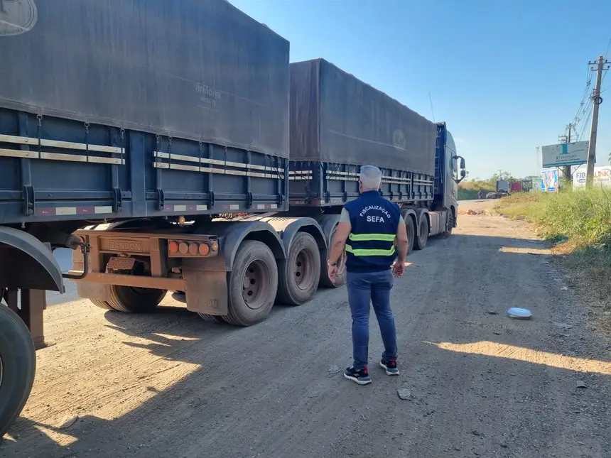 Fiscalização apreende cerca de 100 toneladas de grãos em operação no sudeste do Pará