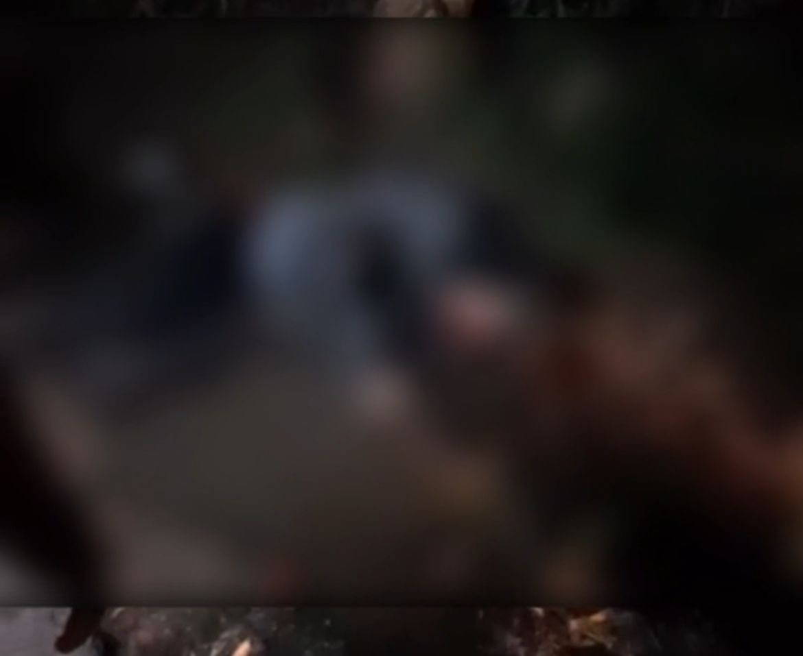 Imagem - Árvore de grande porte cai e atinge duas pessoas na estrada da Ceasa, em Belém