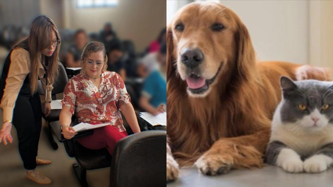 Imagem - Evento gratuito em Belém une amor pelos pets, ciência e bem-estar pessoal