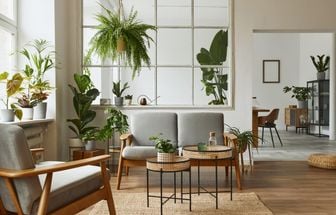 3 dicas para transformar os ambientes com plantas na decoração
