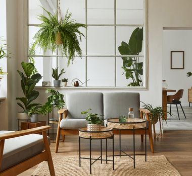 Imagem - 3 dicas para transformar os ambientes com plantas na decoração