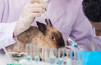 Lula sanciona lei que proíbe uso de animais em testes de cosméticos