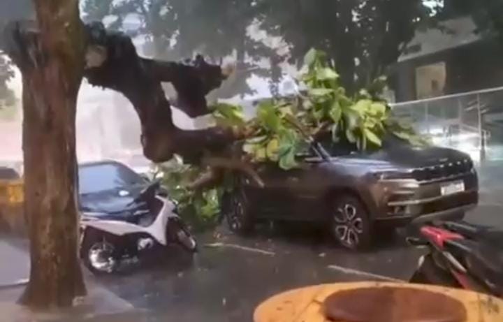 Imagem - Árvore cai sobre carro em Nazaré durante forte chuva em Belém