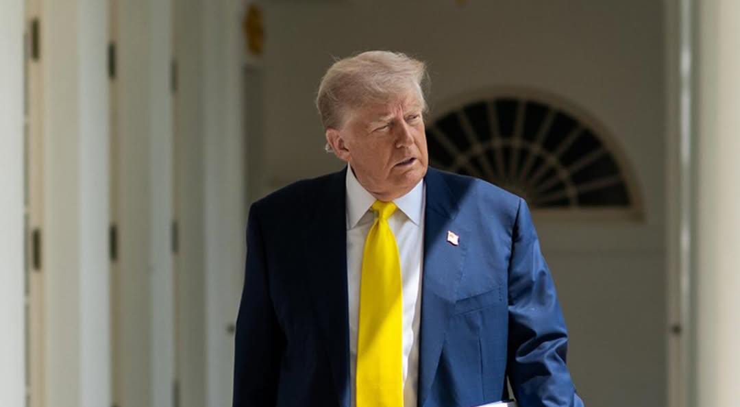 Imagem - Trump: 'Lula pode falar comigo a qualquer momento; vamos ver o que acontece com o Brasil'