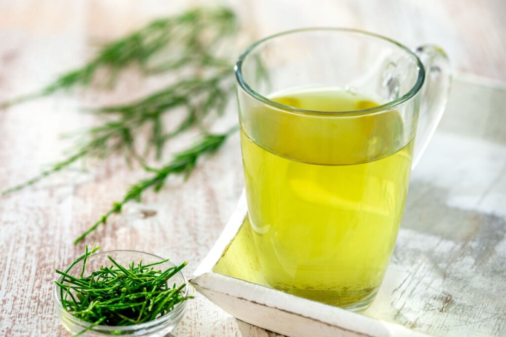 Chá de cavalinha com chá verde (Imagem: JPC-PROD | Shutterstock)
