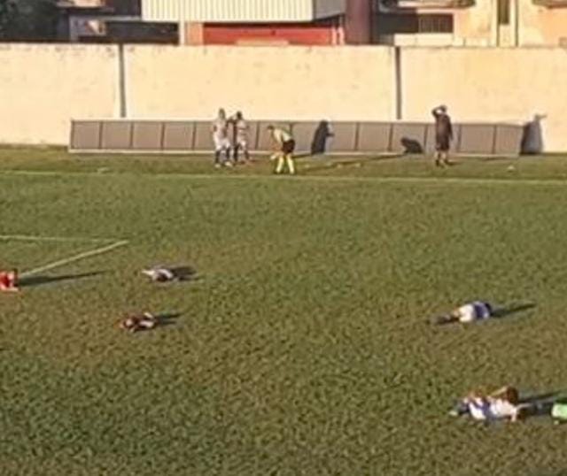 Ataque de abelhas em partida no Amazonas -