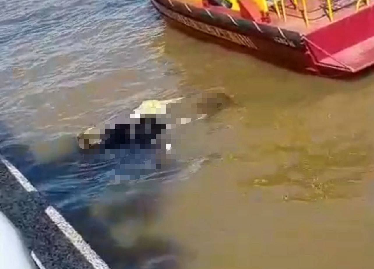 Imagem - Vídeo: corpo é encontrado boiando em frente à Estação das Docas, em Belém