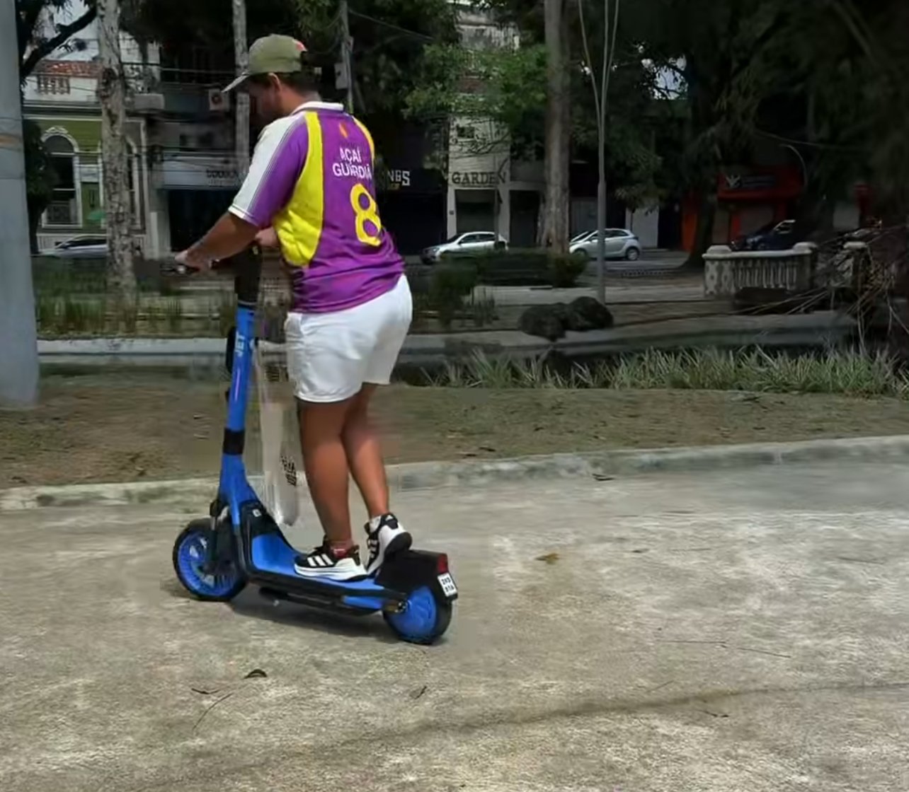 Reprodução 