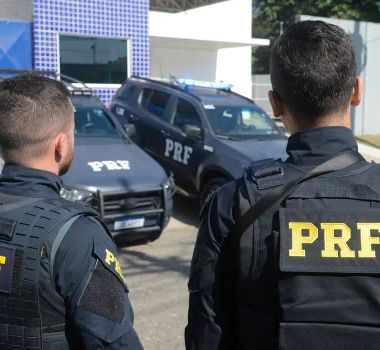 Imagem - PRF apreende fuzis que estavam sendo levados do Rio para Porto Seguro