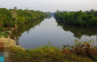 Madeireira é condenada a pagar R$ 22,8 milhões por desmatamento em terra indígena no Pará