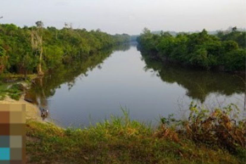 Imagem - Madeireira é condenada a pagar R$ 22,8 milhões por desmatamento em terra indígena no Pará