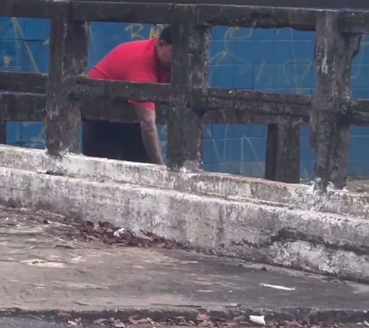 Créditos reprodução