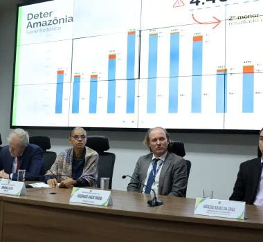 Imagem - Em 12 meses, desmatamento cai 20% no Cerrado e sobe 4% na Amazônia