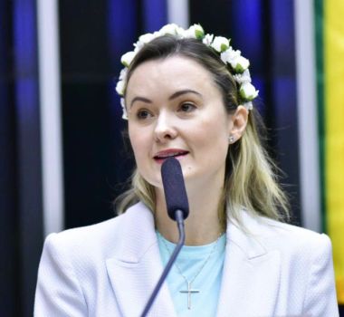 Imagem - Júlia Zanatta é denunciada ao Conselho Tutelar após levar filha bebê a protesto no plenário