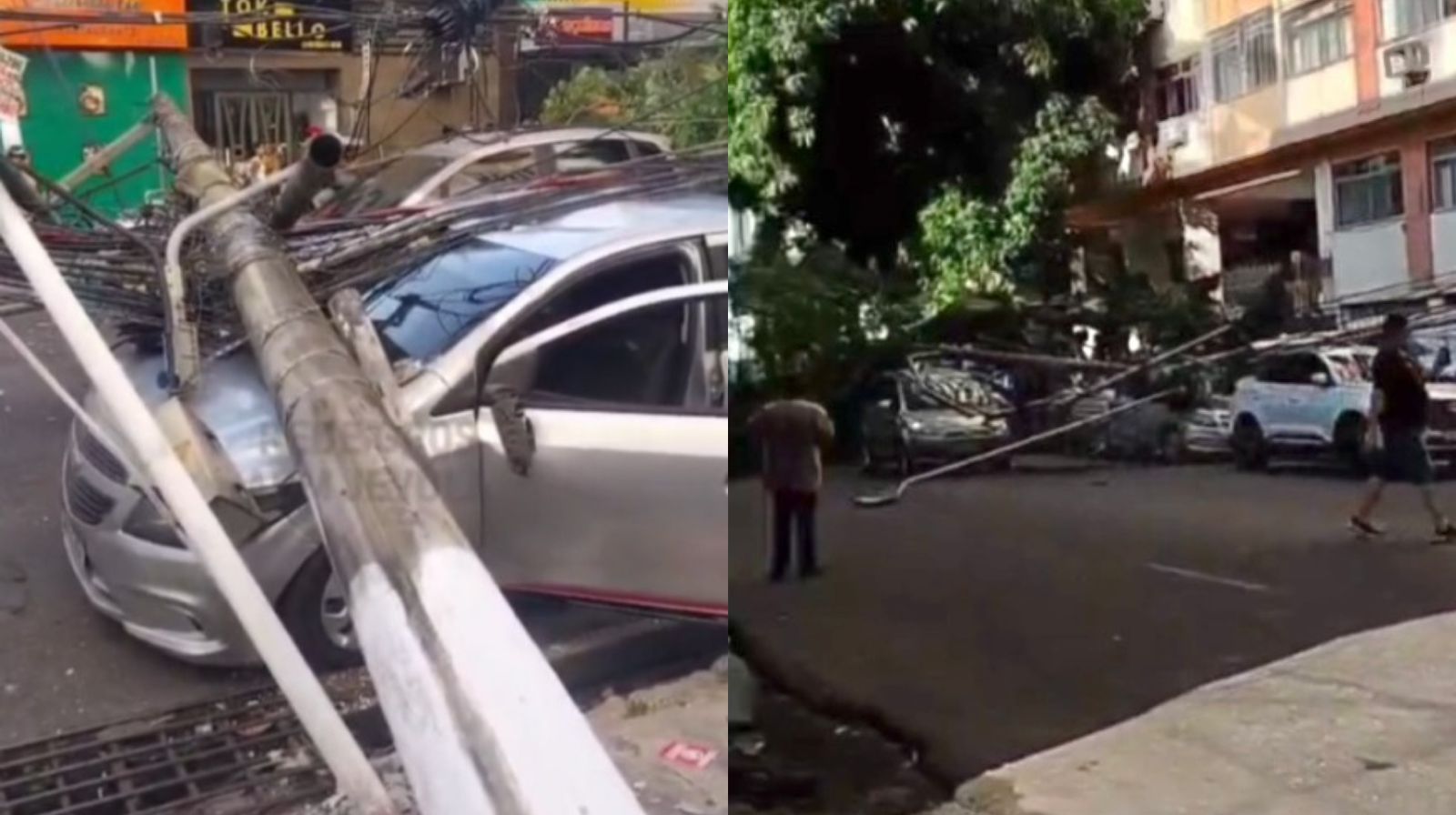 Imagem - Prefeitura vai arcar com prejuízos de carros atingidos por queda de árvore na 14 de março