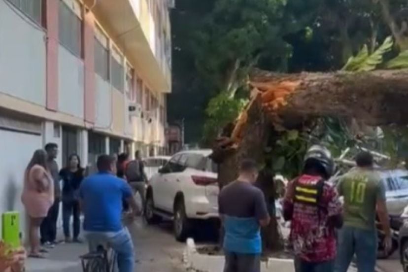 Imagem - Vídeo: mais de 100 imóveis ficam sem energia após queda de árvore em Belém