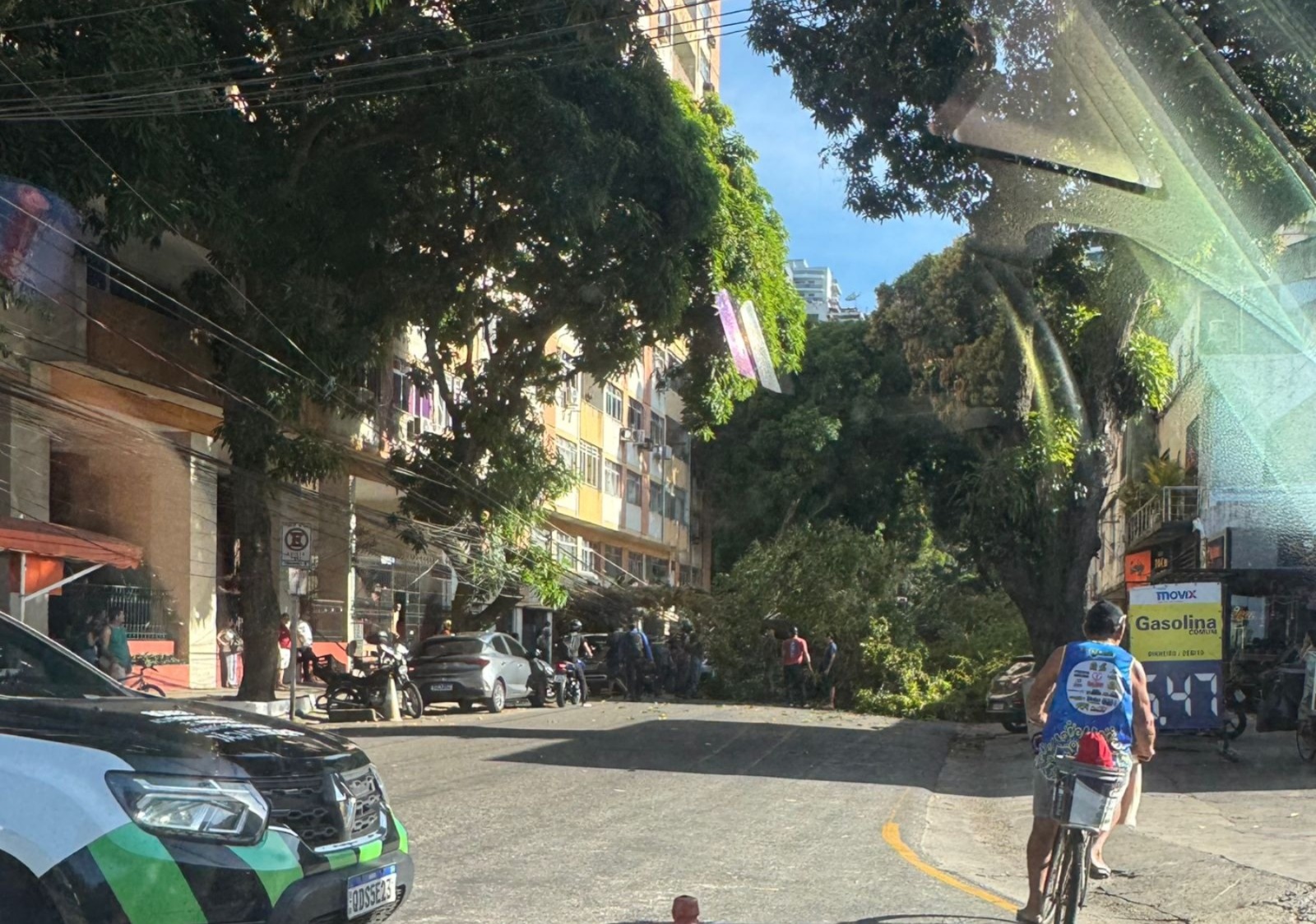 Imagem - Vídeo: árvore cai, destrói carros e fecha o trânsito na 14 de Março, em Belém