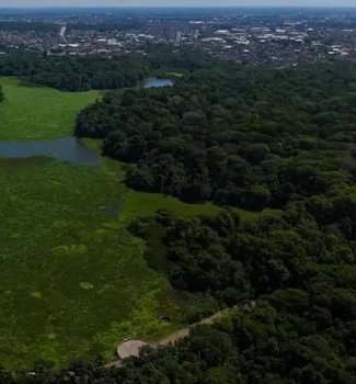 Imagem - Limpeza dos lagos Água Preta e Bolonha remove mais de 9 mil m³ de plantas aquáticas