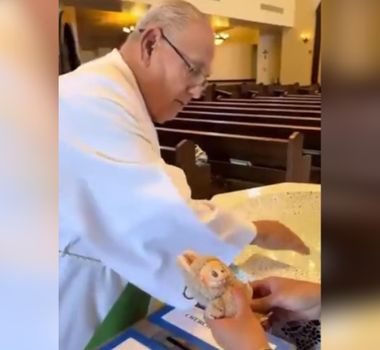 Imagem - 'Febre Labubu': boneco vira meme nas redes após ser benzido por padre em igreja