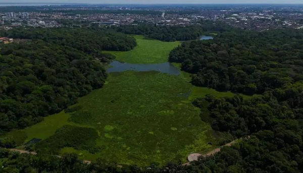 Limpeza dos lagos Água Preta e Bolonha remove mais de 9 mil m³ de plantas aquáticas