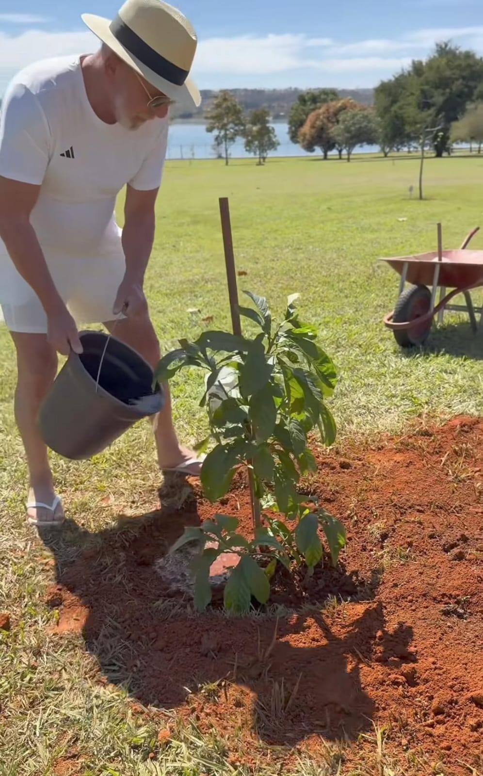 Imagem - Lula planta baobá no Alvorada e diz que árvore é para que futuros presidentes 'tenham juízo'