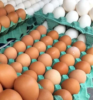 Imagem - Preços dos ovos recuam em Belém, mas continuam altos no acumulado do ano