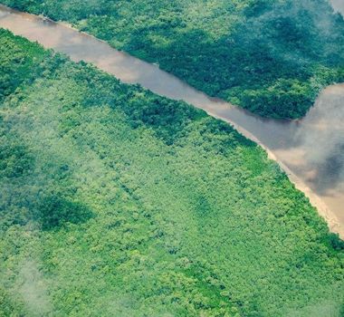 Imagem - Municípios do Pará recebem ajuda no combate ao desmatamento
