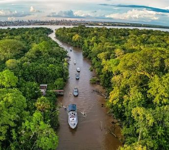 Imagem - Governo Federal lança consulta pública sobre sustentabilidade do jornalismo ambiental; confira