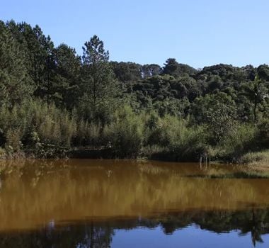 Imagem - Brasil perdeu 111,7 milhões de hectares de áreas naturais em 40 anos; entenda