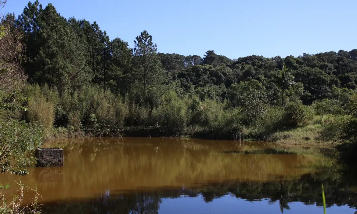 Imagem - Brasil perdeu 111,7 milhões de hectares de áreas naturais em 40 anos; entenda