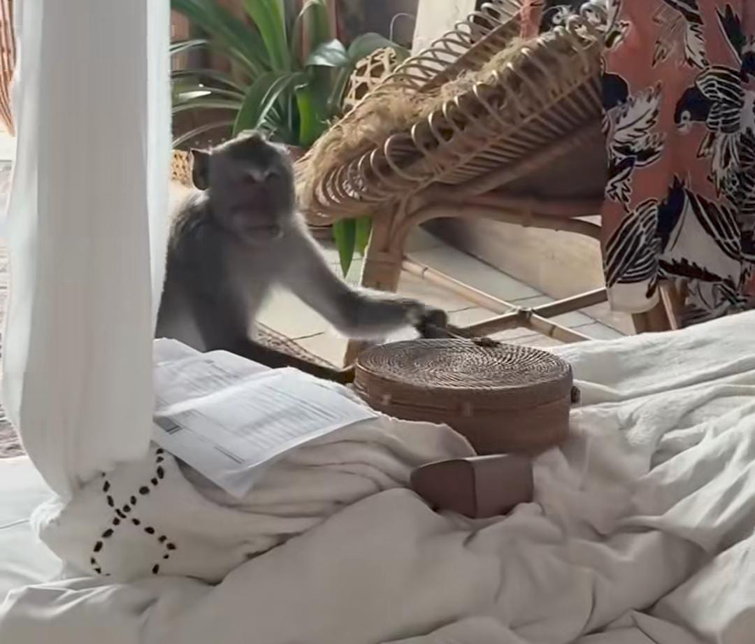 O episódio aconteceu em um hotel na Indonésia.