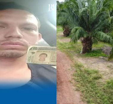 Imagem - Entregador do Mercado Livre é encontrado morto em plantação de dendê no Pará