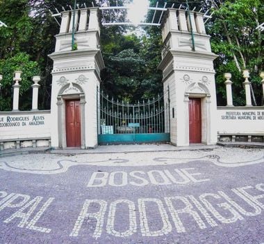 Imagem - Bosque Rodrigues Alves, em Belém, terá funcionamento alterado em agosto para manutenção