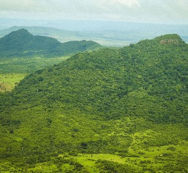 Imagem - Seminário Judiciário na COP30 discute papel de instituições na agenda climática