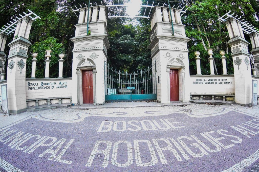 Bosque Rodrigues Alves -