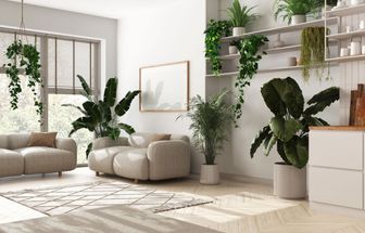 5 dicas para incorporar a biofilia na decoração
